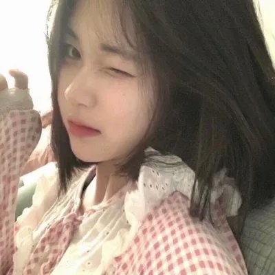 真假维梅尔